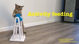 Video: Activity feeding