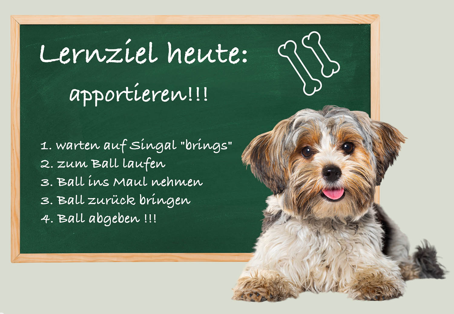 Hundeschule
