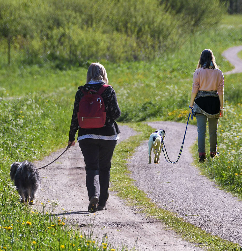 Social Walk