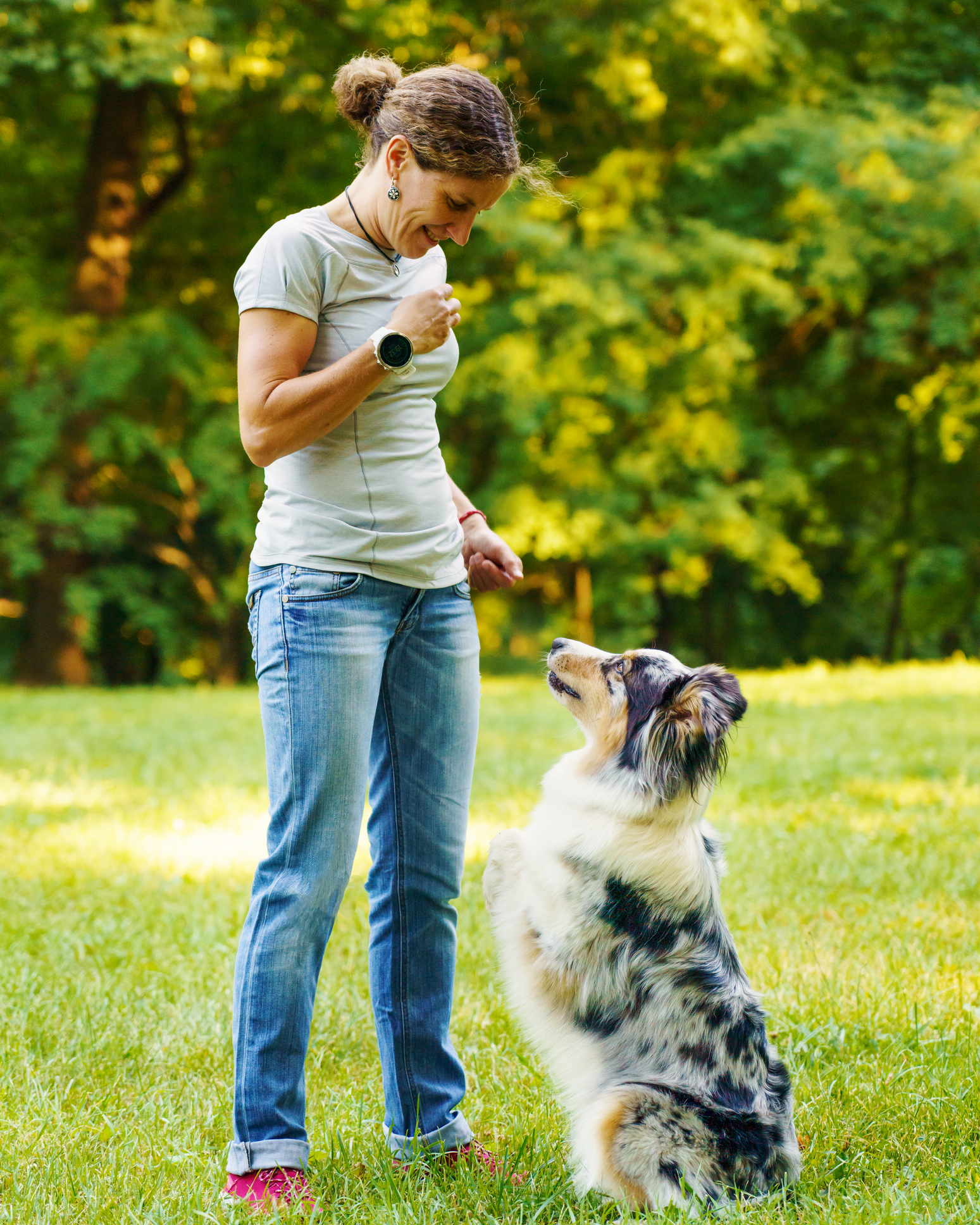 Kleiner schwarzer Hund